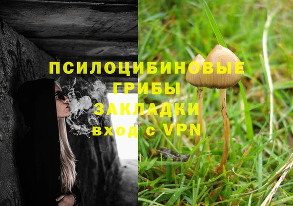 мяу мяу мука Алексин